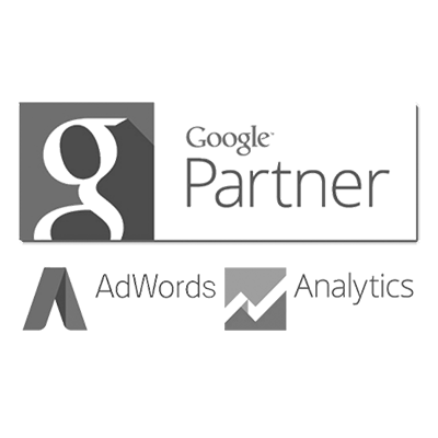 Parceiro Google Certificado gestor de trafego