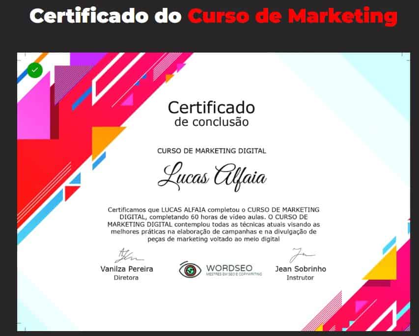 Tráfego Pago Curso Completo, Gestor de Tráfego: Contrate um Especialista em Tráfego Pago