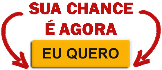 Tráfego Pago para iniciantes, Gestor de Tráfego: Contrate um Especialista em Tráfego Pago